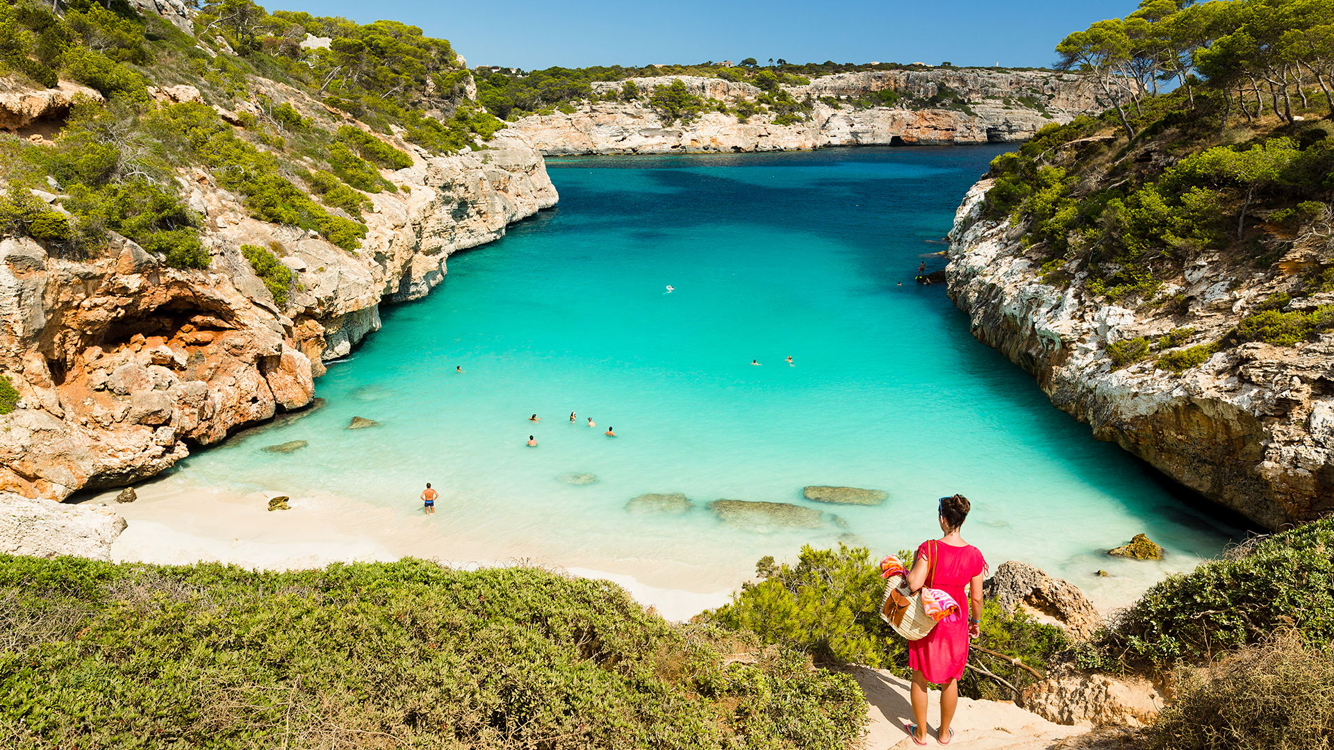 A beach with crystal clear waters, and the typical Mediterranean flora
